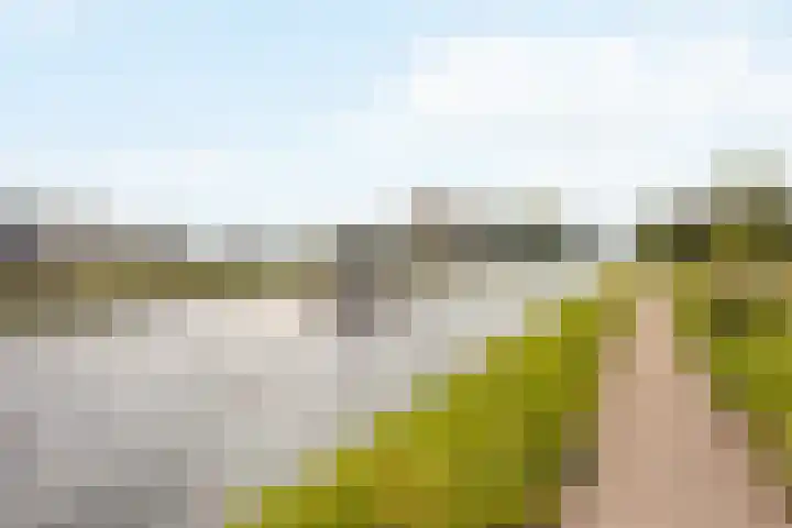 Leidseweg 376 Voorschoten thumbnail 35