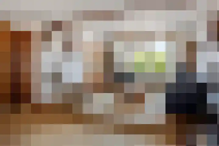 Leidseweg 376 Voorschoten thumbnail 8