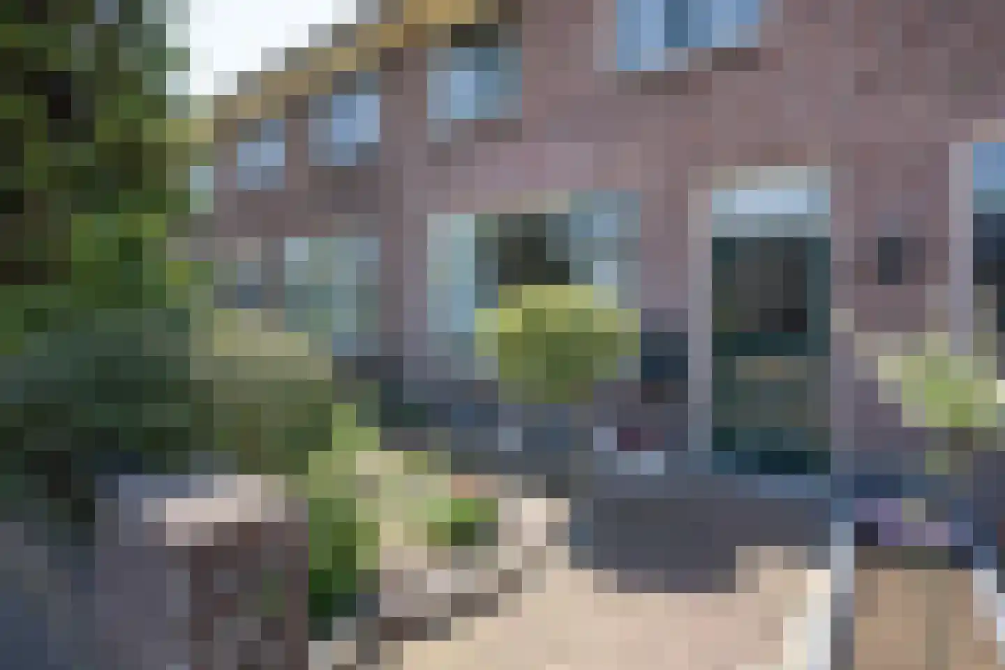 Leidseweg 377 Voorschoten foto 3