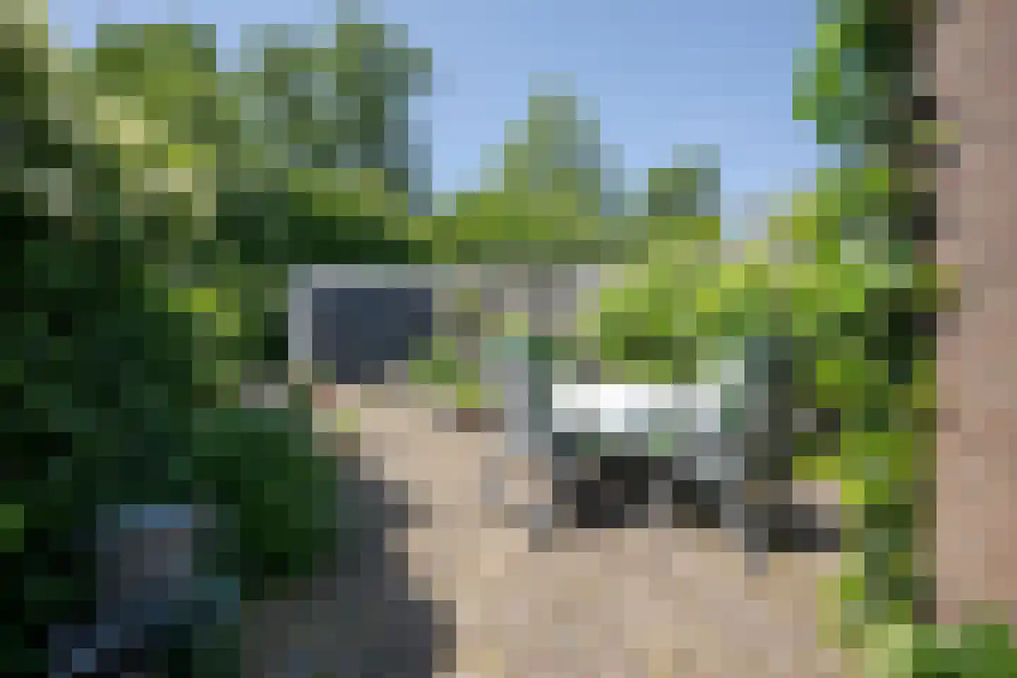 Leidseweg 377 Voorschoten thumbnail 30