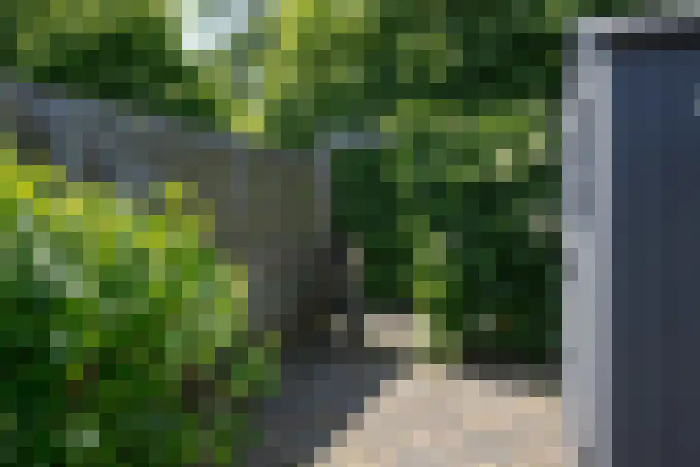 Leidseweg 377 Voorschoten thumbnail 33