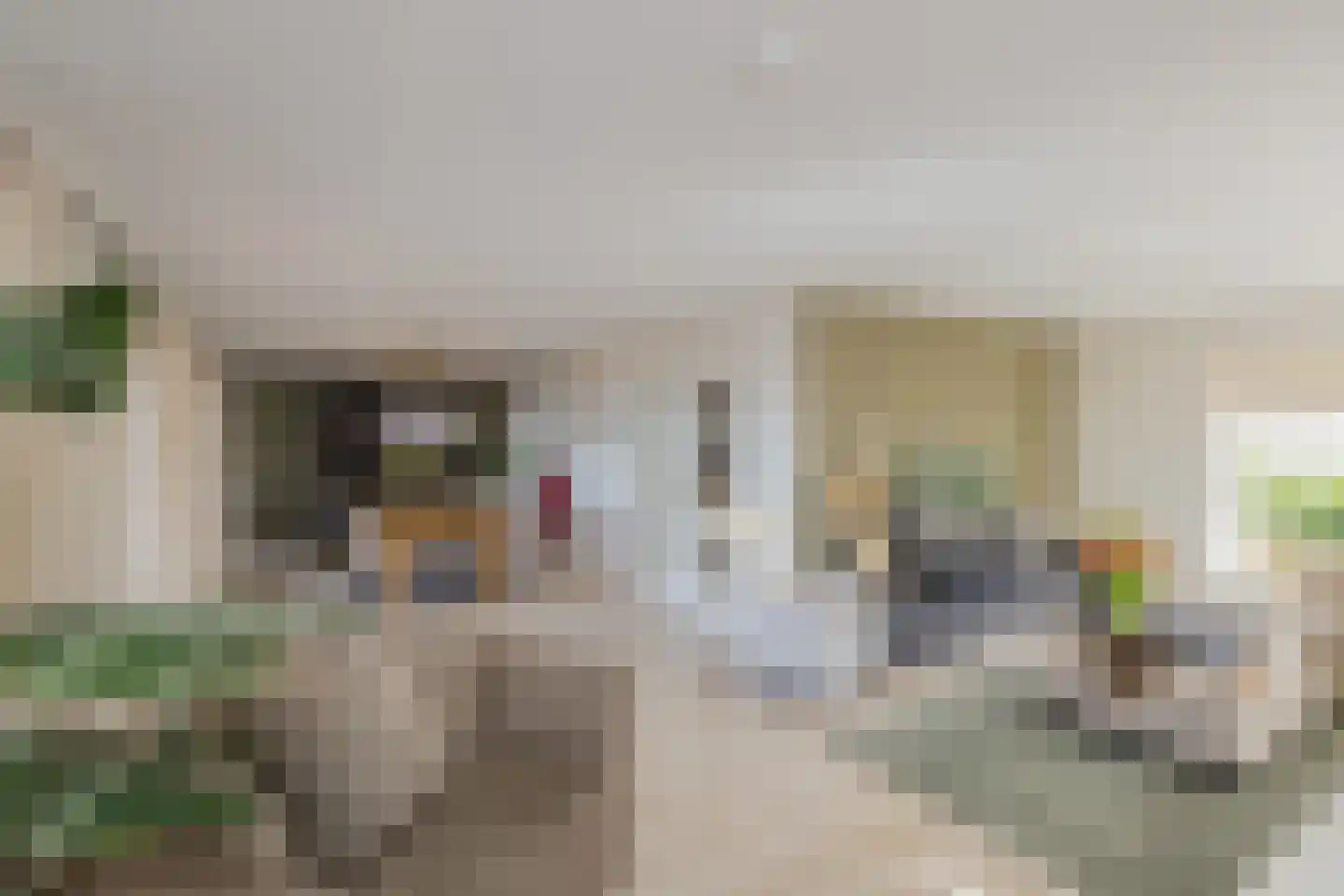 Leidseweg 40 Oud Ade thumbnail 14