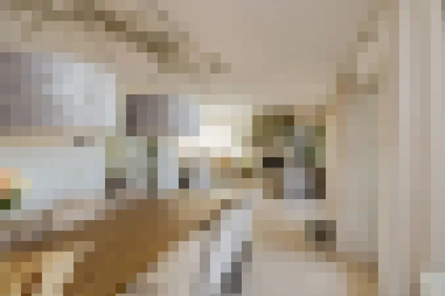 Leidseweg 40 Oud Ade thumbnail 15