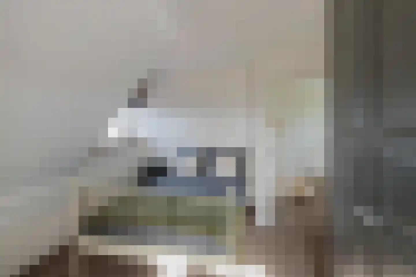 Leidseweg 40 Oud Ade thumbnail 34