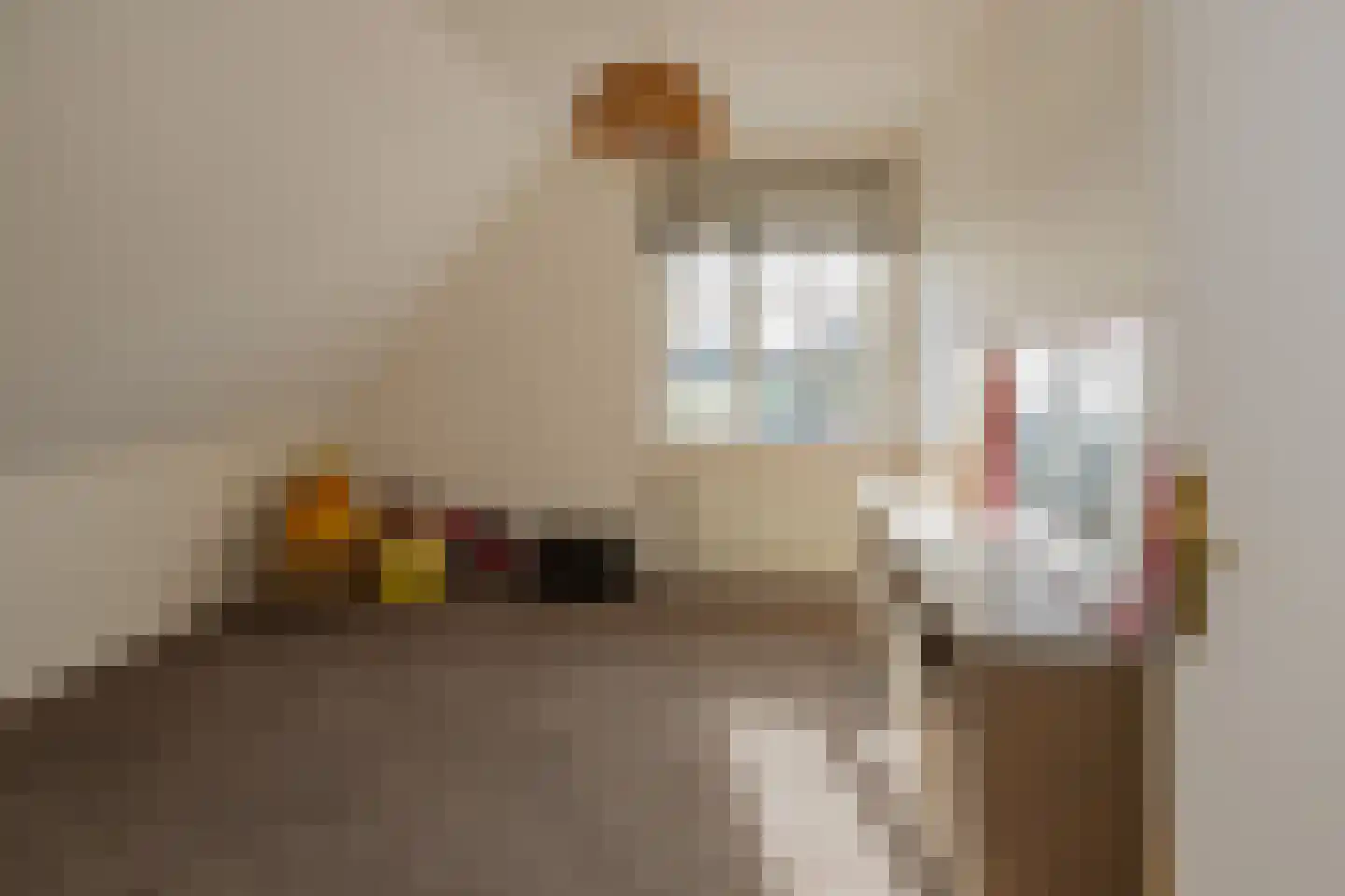 Leidseweg 40 Oud Ade thumbnail 42