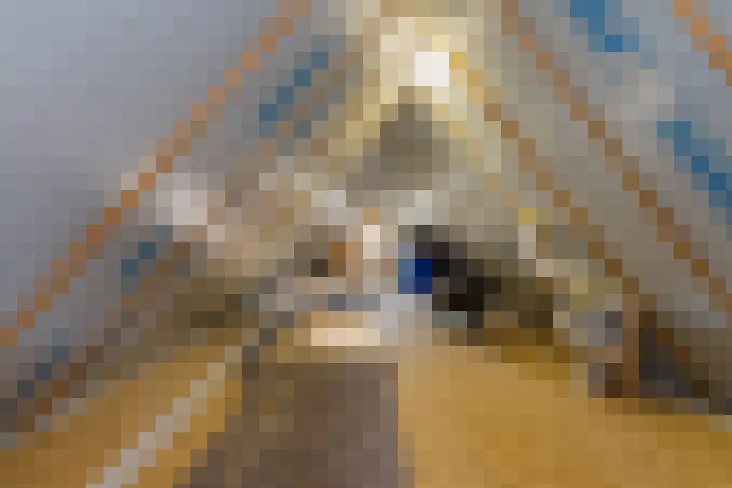 Leidseweg 40 Oud Ade thumbnail 45