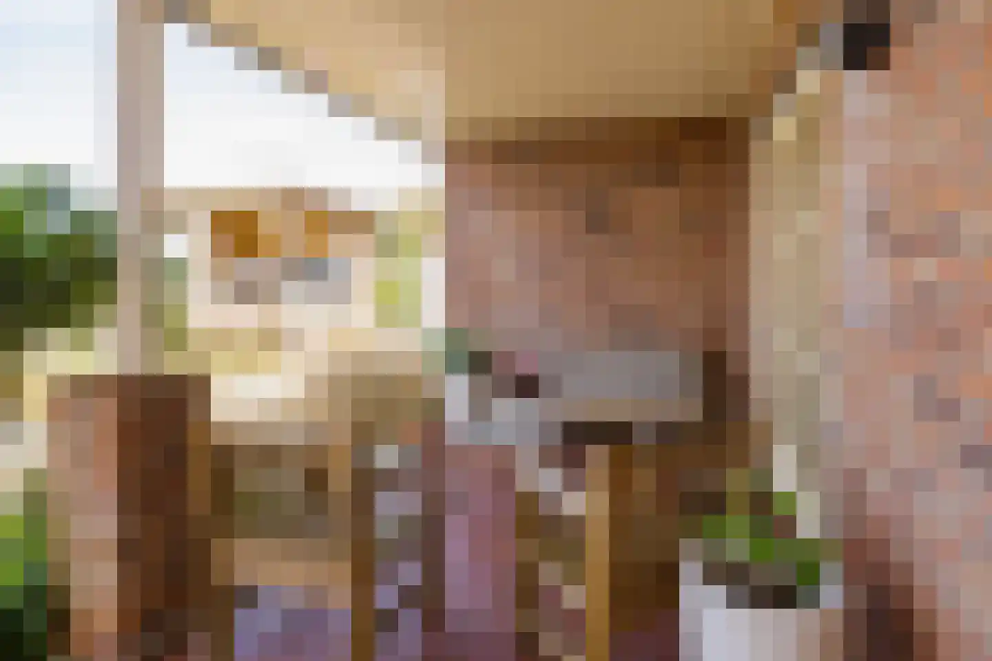 Leidseweg 40 Oud Ade thumbnail 48
