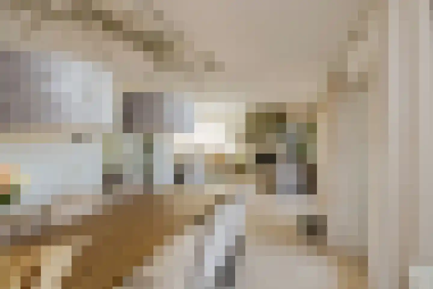 Leidseweg 40 Oud Ade thumbnail 5