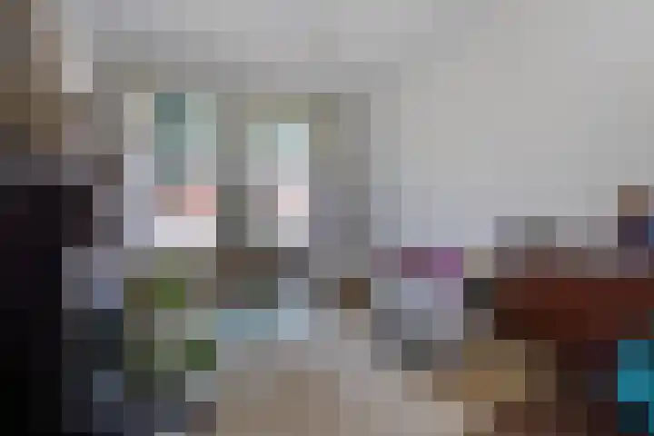 Leidseweg 40 Voorschoten thumbnail 10