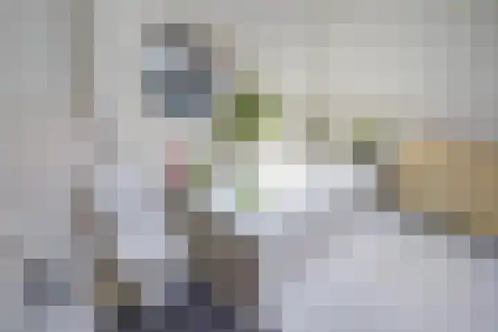 Leidseweg 40 Voorschoten thumbnail 33