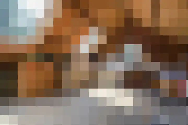 Leidseweg 40 Voorschoten thumbnail 41