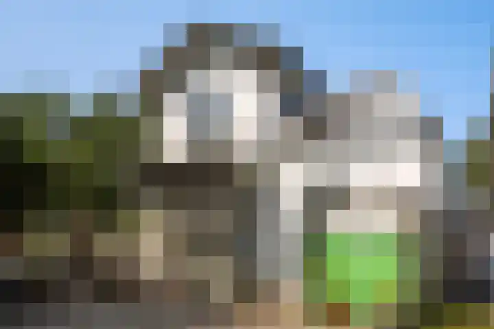 Leidseweg 40 Voorschoten thumbnail 44