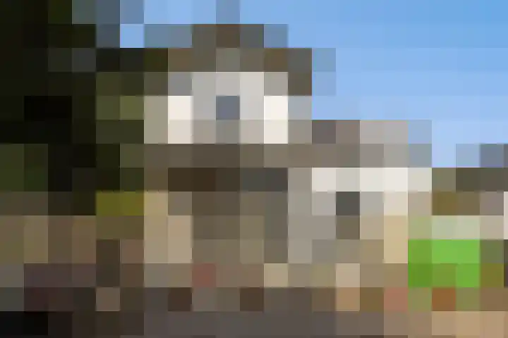 Leidseweg 40 Voorschoten thumbnail 45