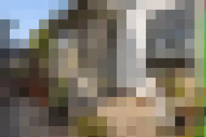 Leidseweg 40 Voorschoten thumbnail 46