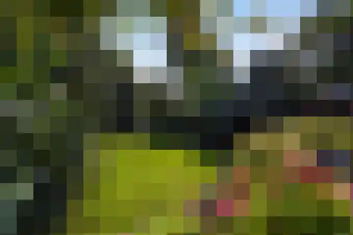 Leidseweg 40 Voorschoten thumbnail 47