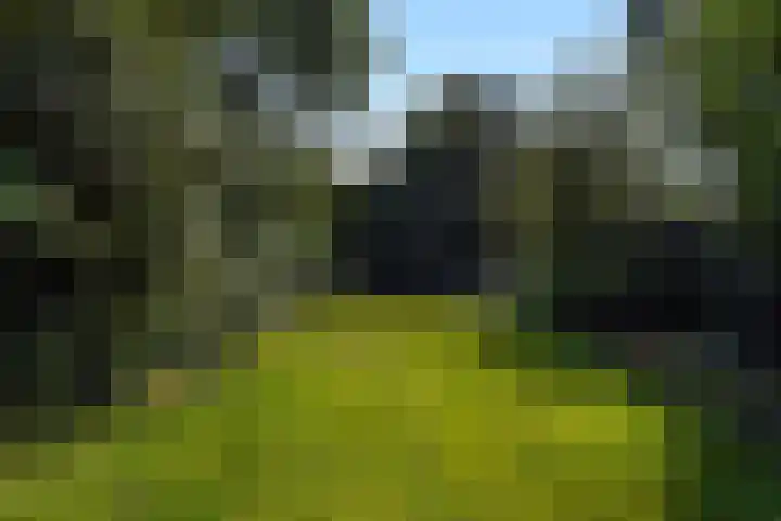 Leidseweg 40 Voorschoten thumbnail 48