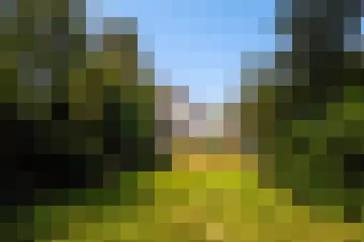 Leidseweg 40 Voorschoten thumbnail 49