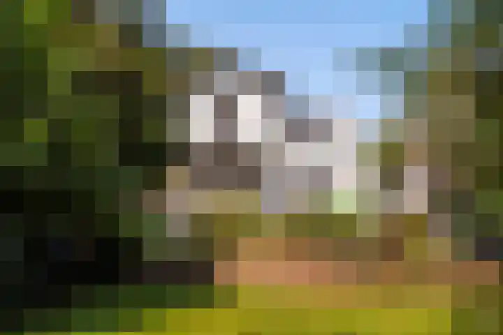 Leidseweg 40 Voorschoten thumbnail 50