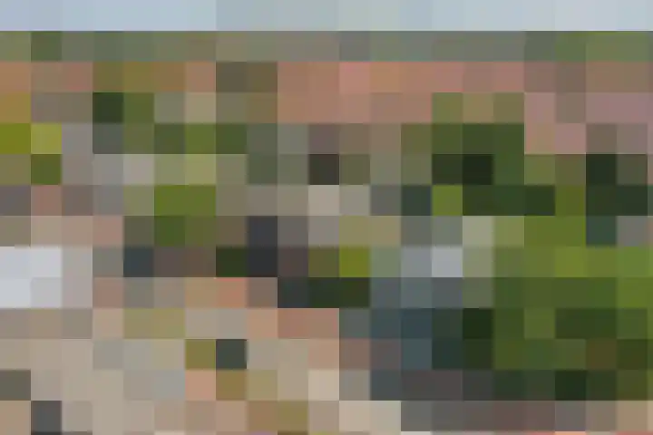 Leidseweg 40 Voorschoten thumbnail 51