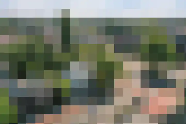 Leidseweg 40 Voorschoten thumbnail 52