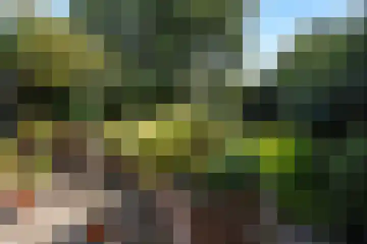 Leidseweg 40 Voorschoten thumbnail 6