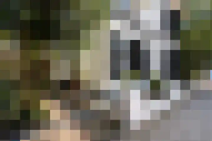 Leidseweg 40 Voorschoten thumbnail 8