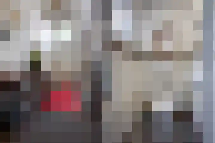 Leidseweg 40 Voorschoten thumbnail 9