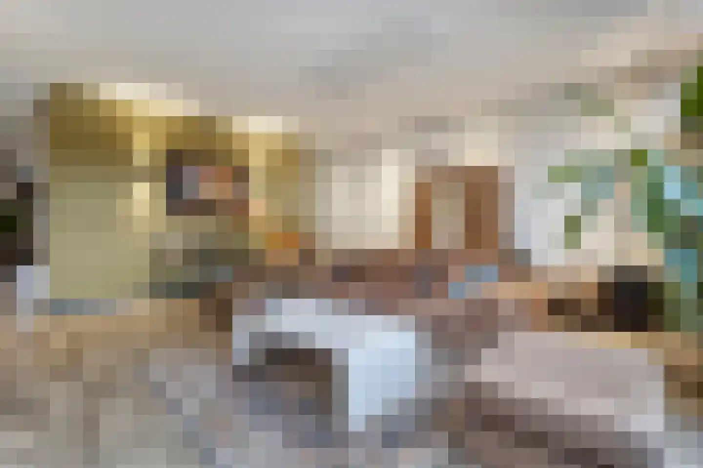 Leidseweg 42 Voorschoten thumbnail 10