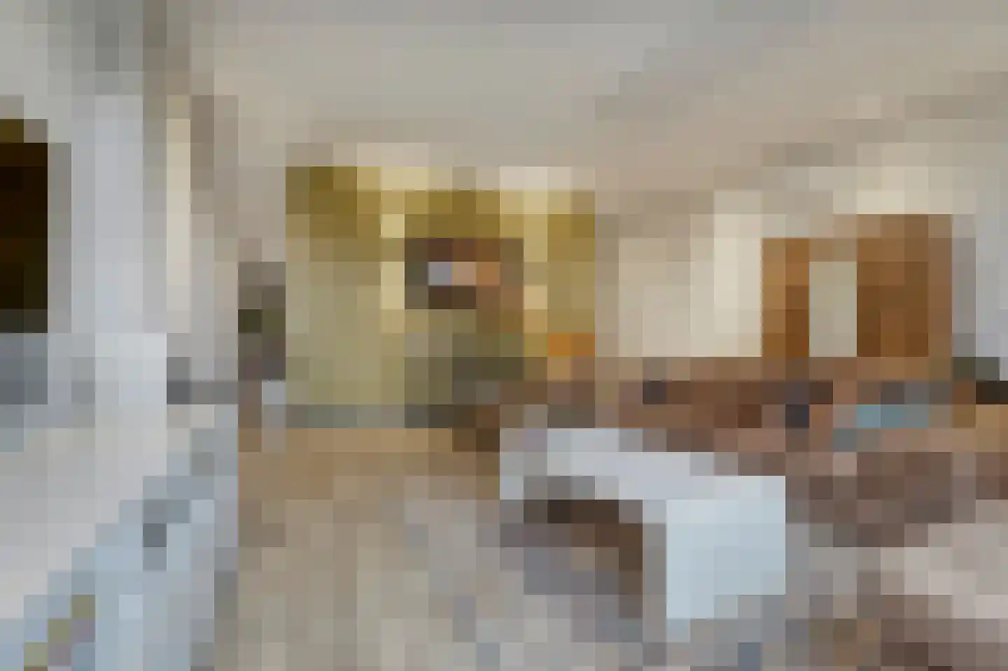 Leidseweg 42 Voorschoten thumbnail 11