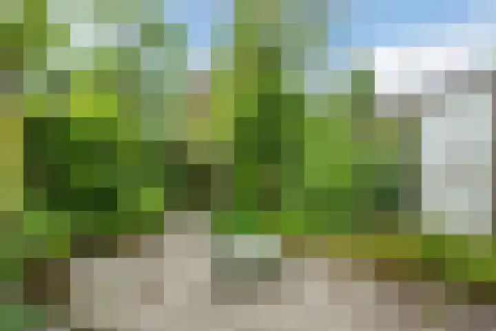 Leidseweg 429 Voorschoten thumbnail 26