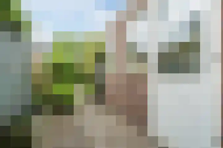 Leidseweg 429 Voorschoten thumbnail 27
