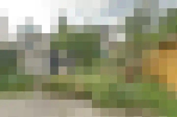 Leidseweg 45 Utrecht thumbnail 11