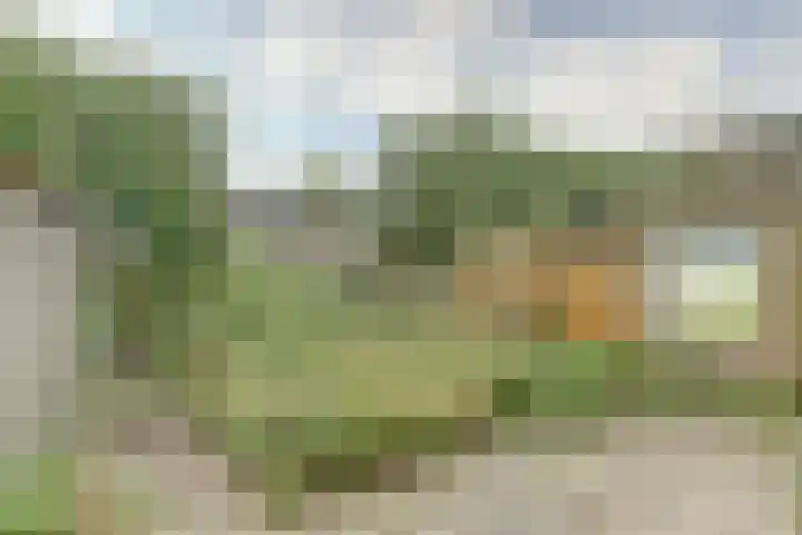 Leidseweg 45 Utrecht thumbnail 12