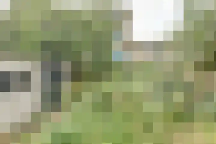 Leidseweg 45 Utrecht thumbnail 13