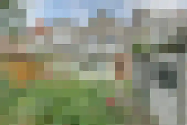 Leidseweg 45 Utrecht thumbnail 14