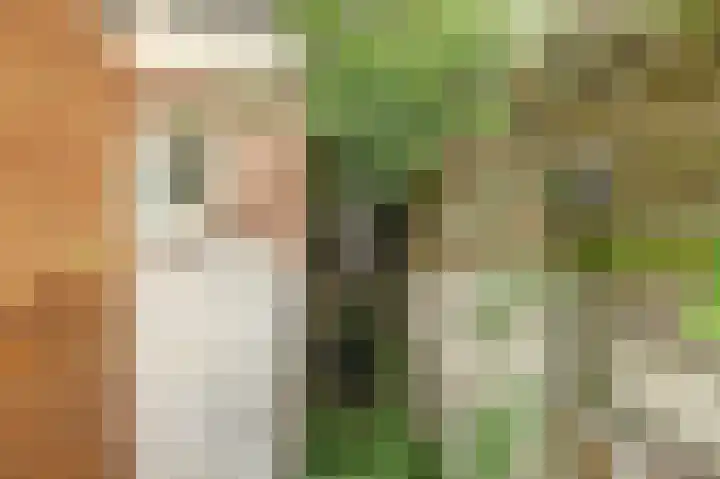 Leidseweg 45 Utrecht thumbnail 15