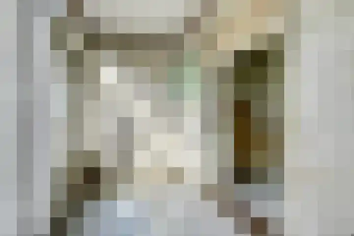 Leidseweg 45 Utrecht thumbnail 17