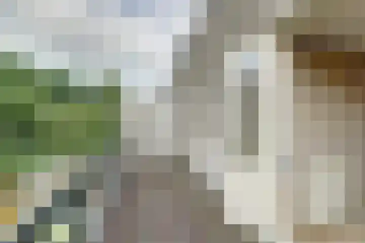 Leidseweg 45 Utrecht thumbnail 34