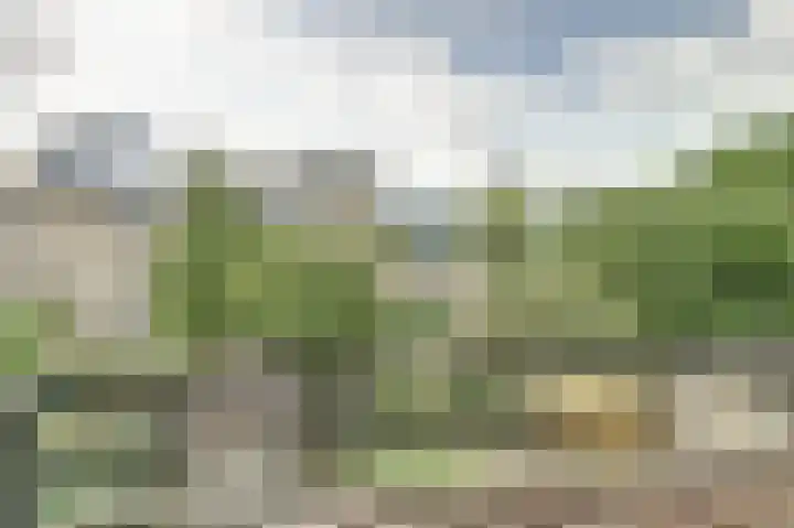 Leidseweg 45 Utrecht thumbnail 35