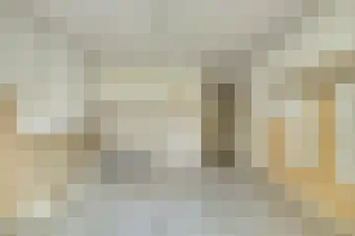 Leidseweg 45 Utrecht thumbnail 4