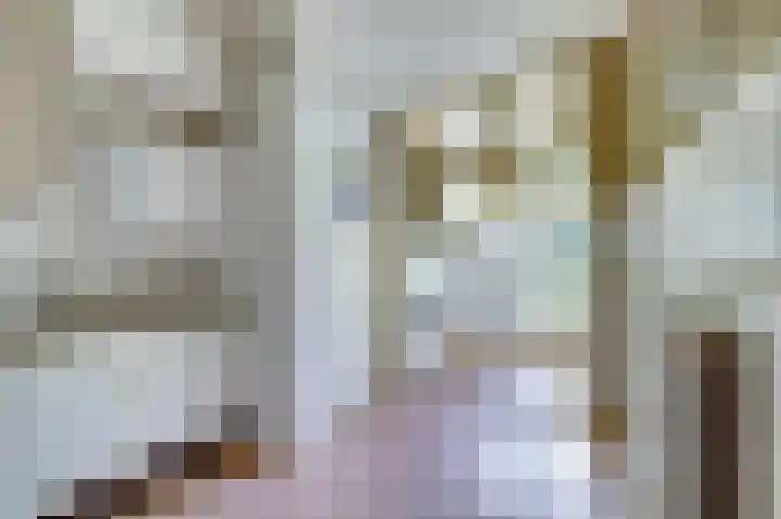 Leidseweg 45 Utrecht thumbnail 9