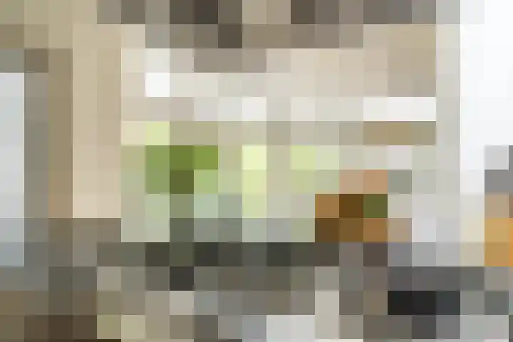Leidseweg 45 Voorschoten thumbnail 22
