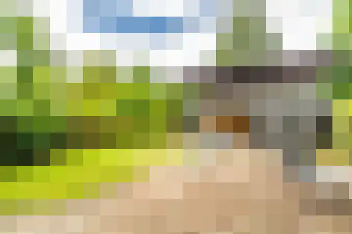Leidseweg 45 Voorschoten thumbnail 30