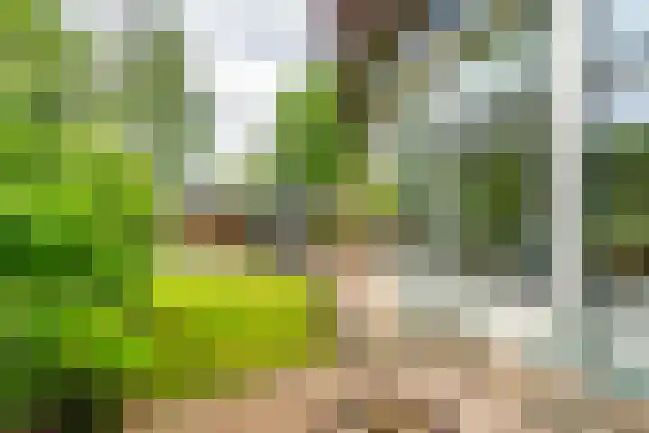 Leidseweg 45 Voorschoten thumbnail 31