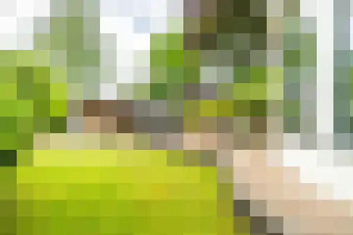 Leidseweg 45 Voorschoten thumbnail 32