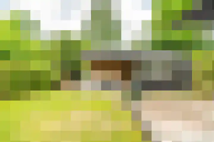 Leidseweg 45 Voorschoten thumbnail 33