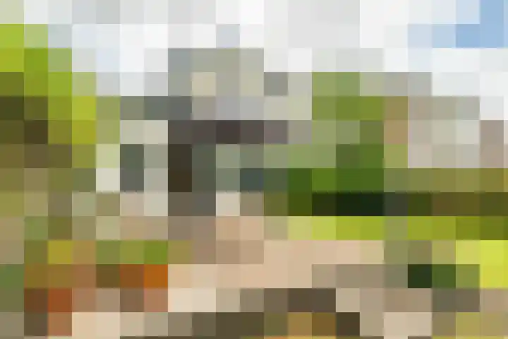 Leidseweg 45 Voorschoten thumbnail 35