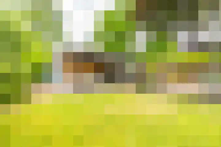 Leidseweg 45 Voorschoten thumbnail 36