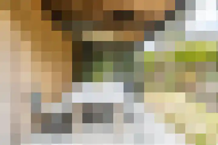 Leidseweg 45 Voorschoten thumbnail 37
