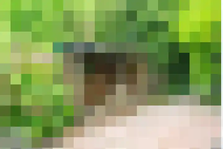 Leidseweg 45 Voorschoten thumbnail 38